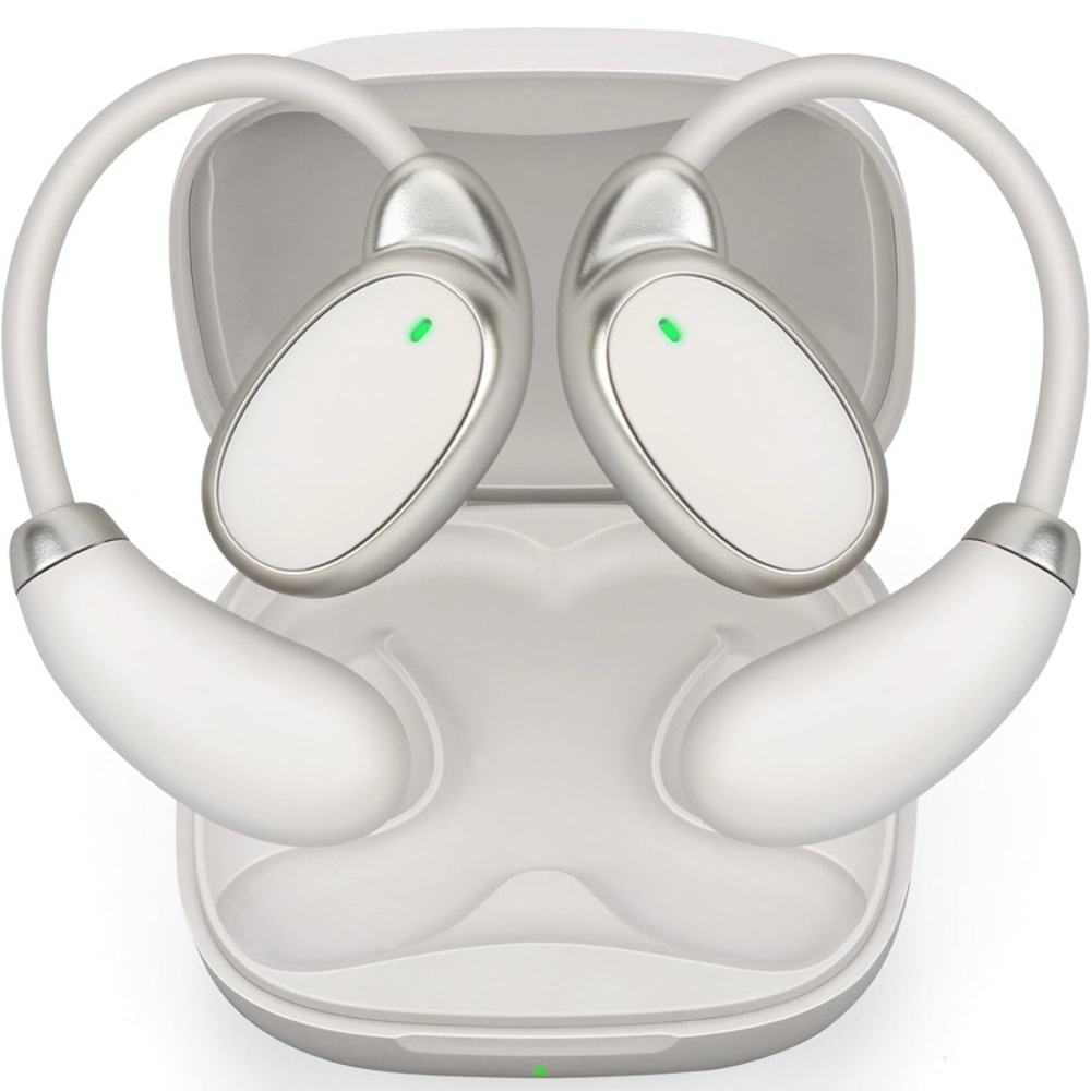 Language Translator Earbuds